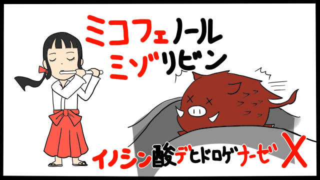 ミゾリビンとミコフェノール酸モチフェルの薬理を暗記できるゴロ